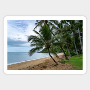 Serene Paradise: Palm Trees on Cairns Beach Sticker